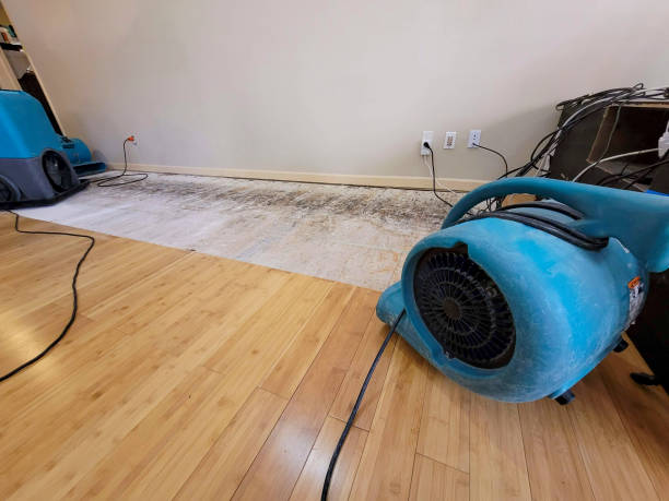 Professional Burst Pipe Water Damage technician working in Baltimore, MD